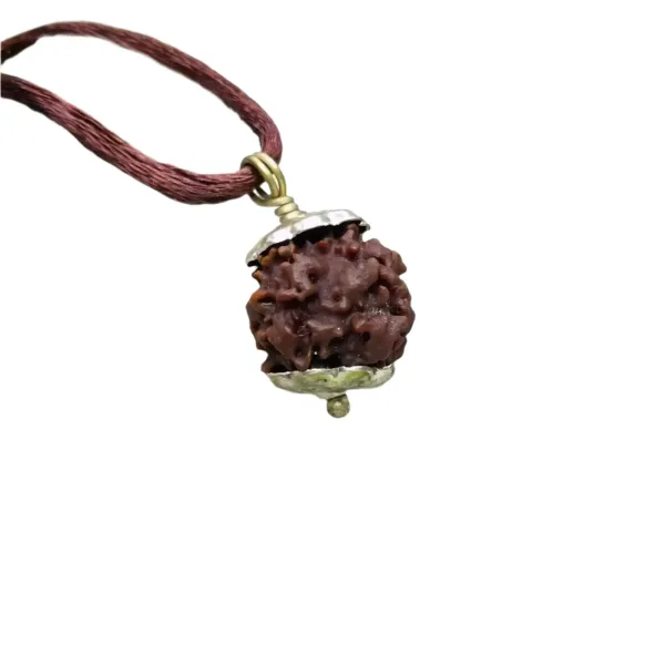 Nirakar_Rudraksha_Nepal