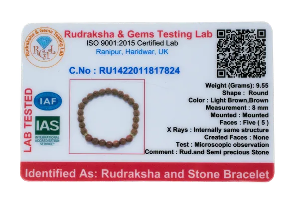 Rudraksha_Ratan_Energy_Bracelet