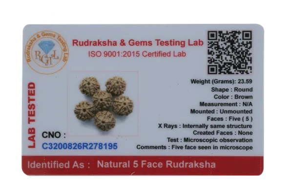 Rudraksha_Water_Beads