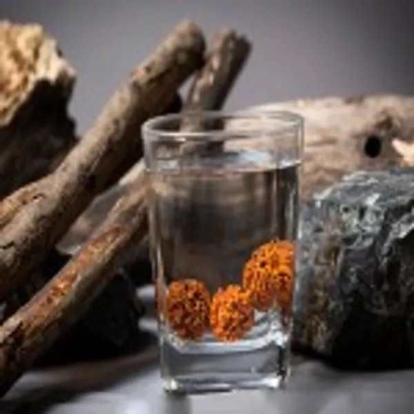 Rudraksha_Water_Beads