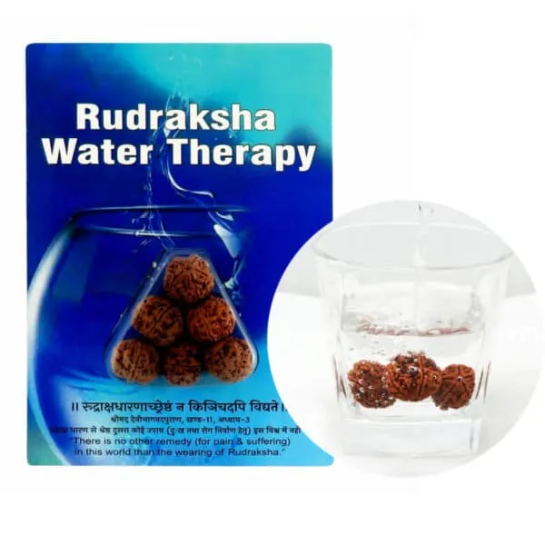 Rudraksha_Water_Beads