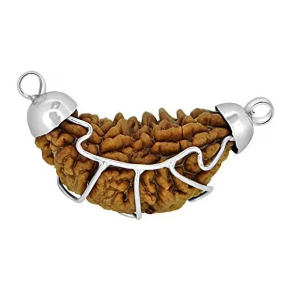 1_Mukhi_Rudraksha_With_Pendant