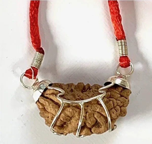 1_Mukhi_Rudraksha_With_Pendant