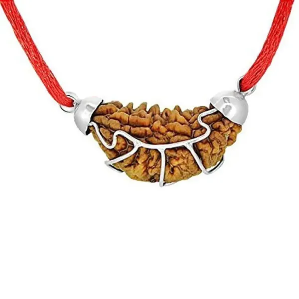 1_Mukhi_Rudraksha_With_Pendant