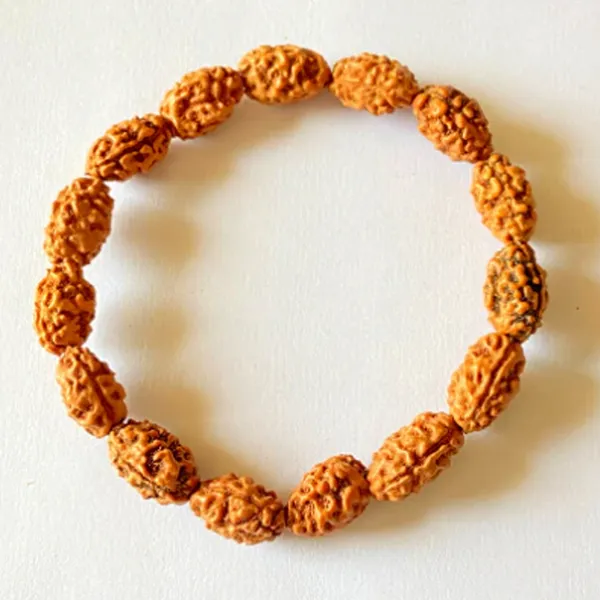 2_Mukhi_Java_Bracelet