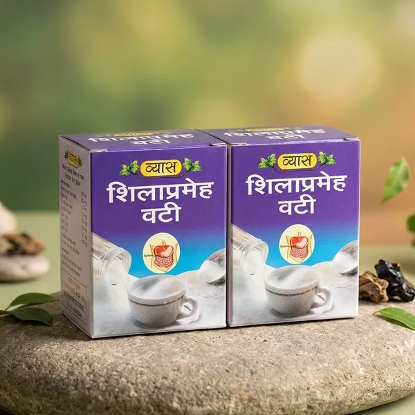 Vyas_Shilaprameha_Vati_50_Tab_Pack_Of_2