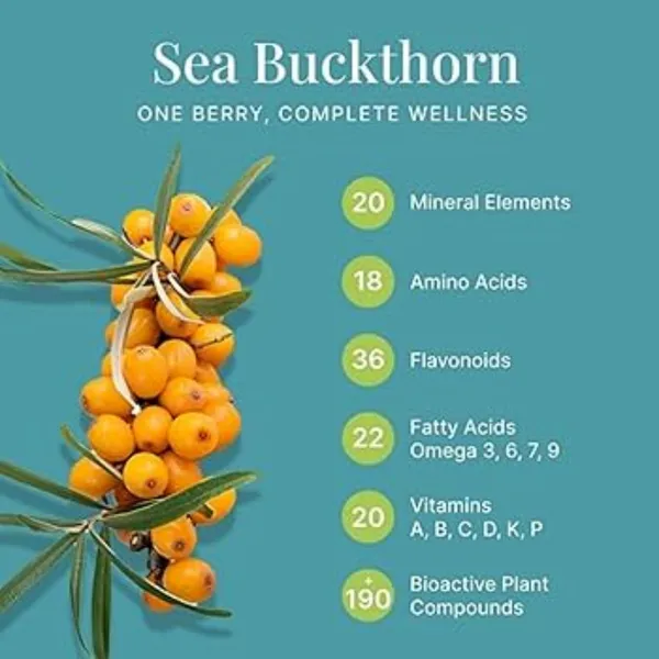 Maayka_Premium_|_Sea_Buckthorn_Juice_-_2*_500_ml__(Pack_of_2)_|_Superfood_Herbal_Health_Drink_|_Rich_in_Omega_Fatty_Acids_&_Vitamin_C_|_Immunity_Booster_for_Skin,_Heart_&_Gut_Health