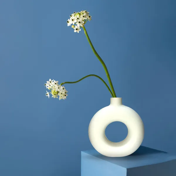 White_Ceramic_Donut_Vase_5_Inch_For_Home,_Temple,_Office_Decor