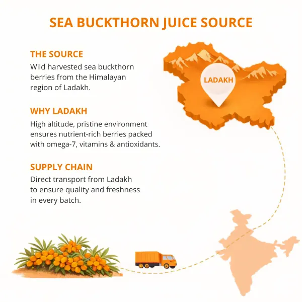 Srishma__100%_Natural_Himalayan_Sea_Buckthorn_-Pack_of_2*_Pure_Superfood_for_Immunity,_Skin_&_Daily_Wellness_1000ml