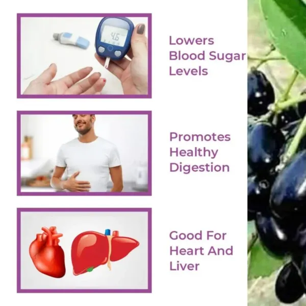 Jamun_And_Shilajit_Powder_210G_|_Ayurvedic_Blood_Sugar,_Energy_&_Immunity_(100%_Natural)