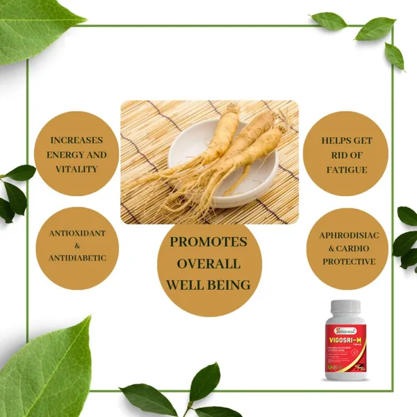 Vigori-M_Ayurvedic_Capsules_For_Men_|_Ashwagandha_&_Shilajit_(100%_Natural)