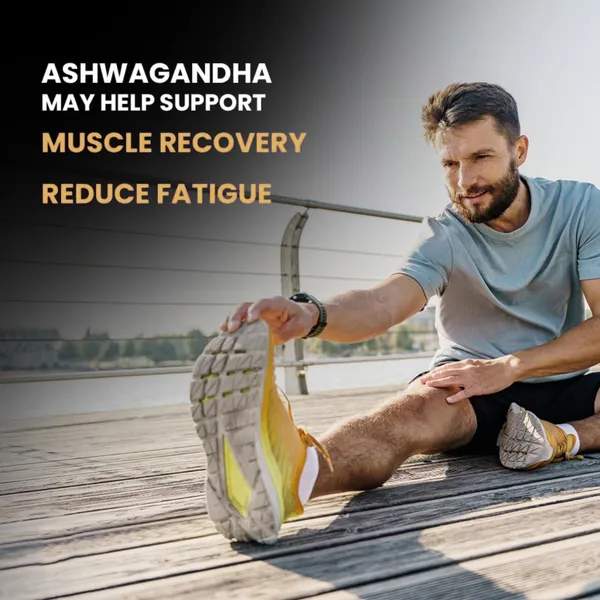 Ashwagandha_Powder_(100%_Natural)