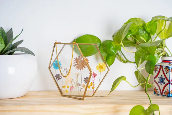 Hexagon_Brass_Pressed_Flower_Frame_|_Artistic_Hanging_Botanical_Wall_Art_|_Gold_|_6_X_6_Inch