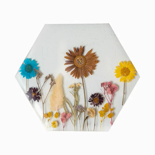 Hexagon_Brass_Pressed_Flower_Frame_|_Artistic_Hanging_Botanical_Wall_Art_|_Gold_|_6_X_6_Inch