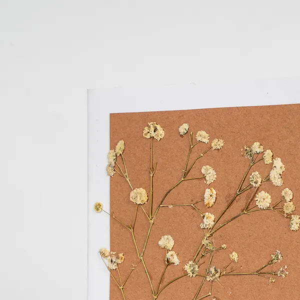 Handmade_Pressed_Floral_Greeting_Card_|_Thank_You_Card_For_Special_Occasions_|_Pine_|_9_X_9_Inch