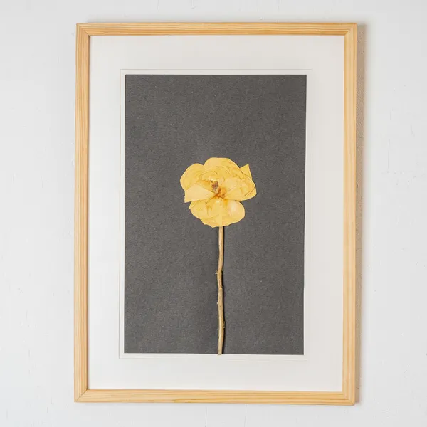 Romantic_Rose_Pressed_Flower_Frame_|_Handmade_Gift_For_Valentines_Day_And_Anniversaries_|_Multicolor_|_11_X_15_Inch