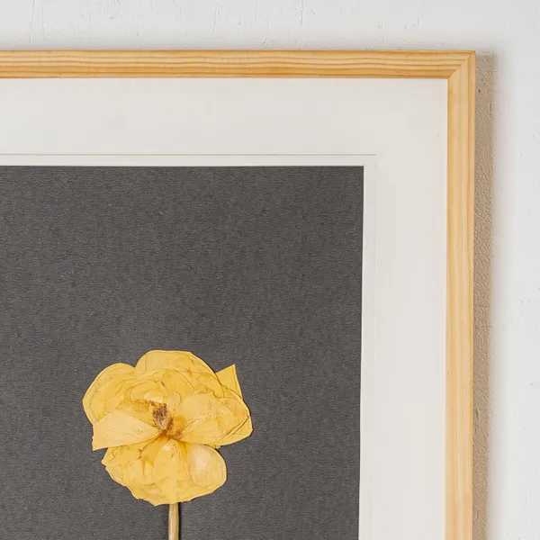 Romantic_Rose_Pressed_Flower_Frame_|_Handmade_Gift_For_Valentines_Day_And_Anniversaries_|_Multicolor_|_11_X_15_Inch
