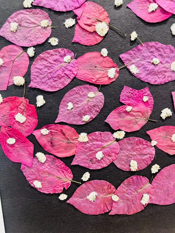Bougainvillea_Pressed_Flower_Frame_|_Handmade_Botanical_Wall_Art_For_Gifting_And_Decor_|_Multicolor_|_11_X_15_Inch