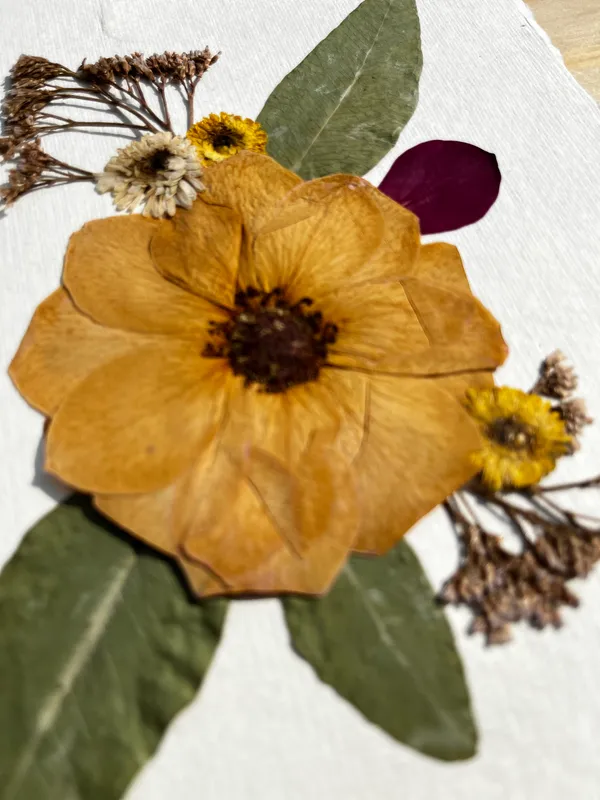 Handmade_Pressed_Flower_Wall_Art_Frame_|_Double_Sided_Glass_Pinewood_Hanging_With_Real_Rose_And_Ferns_|_Housewarming_Gift_And_Botanical_Home_Decor_|_Multicolor_|_8_X_10_Inch