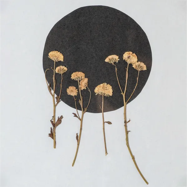 Handmade_Pressed_Flower_Frame_|_Botanical_Wall_Art_For_Gifting_And_Home_Decor_|_Multicolor_|_11_X_15_Inch