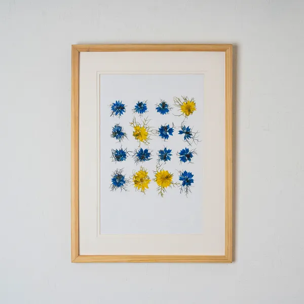 Nigella_Pressed_Flower_Frame_|_Unique_Botanical_Wall_Art_For_Home_And_Gifts_|_Multicolor_|_11_X_15_Inch
