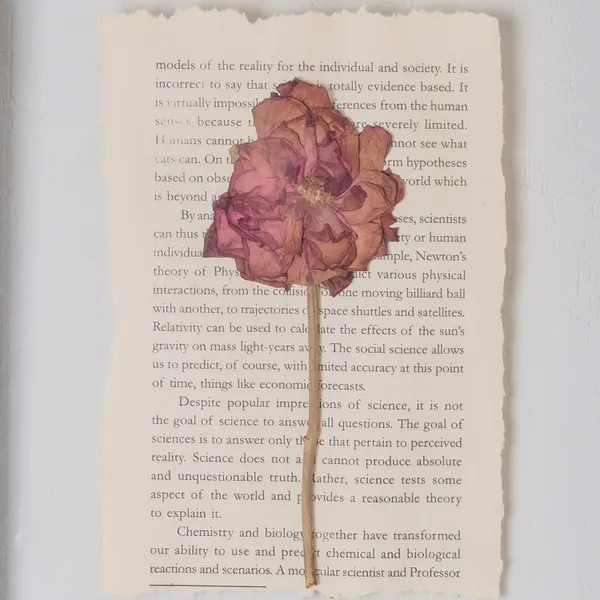 Handmade_Pressed_Rose_Frame_With_Vintage_Text_|_Wall_Decor_And_Gift_For_Nature_Lovers_|_Gold_|_8_X_10_Inch