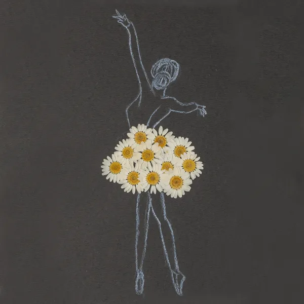 White_Daisy_Pressed_Flower_Frame_|_Handmade_Botanical_Wall_Art_For_Home_Styling_|_Multicolor_|_11_X_15_Inch
