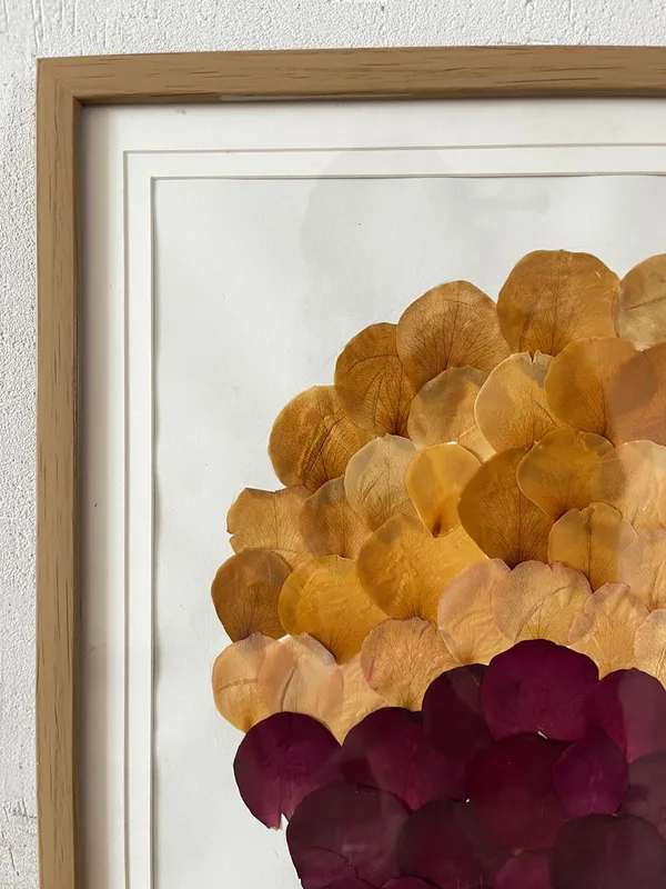 Rose_Petal_Pressed_Flower_Frame_|_Handmade_Botanical_Wall_Decor_For_Living_Room_|_Multicolor_|_16_X_16_Inch