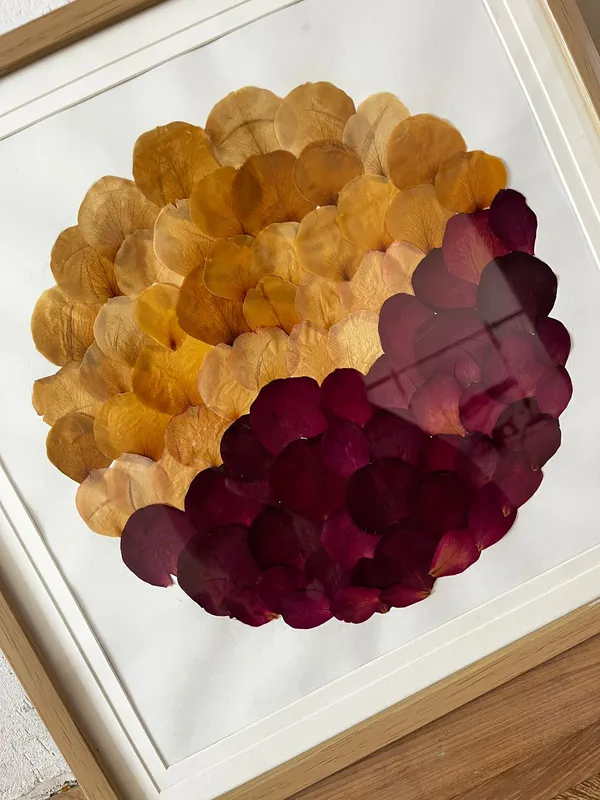 Rose_Petal_Pressed_Flower_Frame_|_Handmade_Botanical_Wall_Decor_For_Living_Room_|_Multicolor_|_16_X_16_Inch