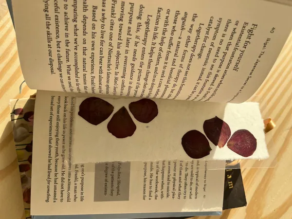 Handmade_Pressed_Flower_Bookmark_|_Real_Botanical_Bookmark_For_Journals_Books_And_Gifts_|_Gold_|_8_X_10_Inch