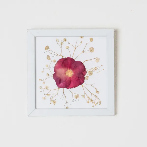 Rose_Pressed_Flower_Frame_|_Handmade_Romantic_Gift_For_Her_And_Him_|_White_|_6_X_6_Inch