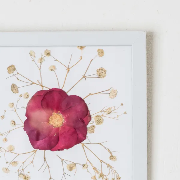 Rose_Pressed_Flower_Frame_|_Handmade_Romantic_Gift_For_Her_And_Him_|_White_|_6_X_6_Inch