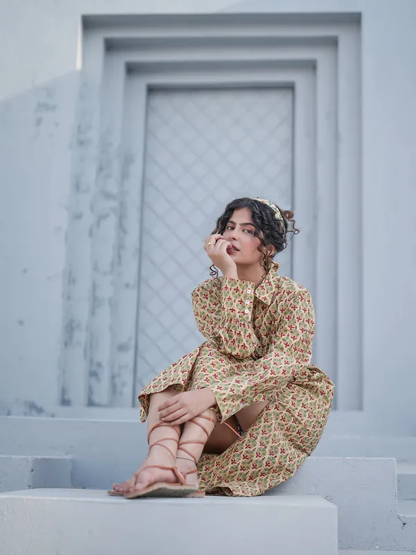 Caterina_Hand_block_Printed_Shirt_Dress