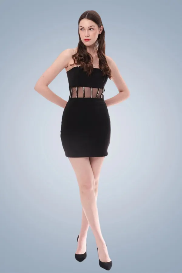 Janette_Diamond_Strap_Sheer_Bodycon_Mini_Dress