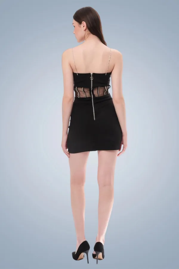 Janette_Diamond_Strap_Sheer_Bodycon_Mini_Dress