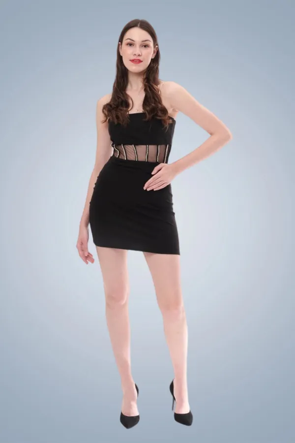 Janette_Diamond_Strap_Sheer_Bodycon_Mini_Dress