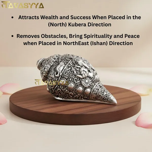Tavasyya_Silver_Finish_Ganesh_Shankh,_Vastu_&_Feng_Shui_Decorative_Conch_for_Home_Temple,_Pooja_Room,_Office_&_Meditation,_Brings_Wealth,_Prosperity_&_Positivity,_Handcrafted_Spiritual_Gift_(Medium)