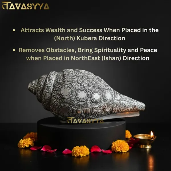 Tavasyya_Silver_Finish_Dashavtar_Vishnu_Shankh_|_Traditional_Narayan_Conch_for_Pooja,_Vastu,_Energy_Balance_&_Home_Temple_|_Spiritual_Showpiece_for_Home_Decor,_Office,_Mandir_&_Gifting_(10.2_Inch)