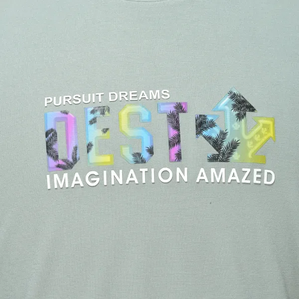 Light_Green_Cotton_Soft_Touch_T-Shirt_With_3D_Printing_And_Hd_Quality_For_Men