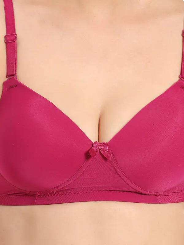Ruby_Rose_Comfort_T_Shirt_Padded_Bra_For_Women