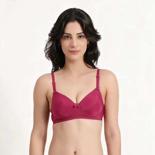 Ruby_Rose_Comfort_T_Shirt_Padded_Bra_For_Women