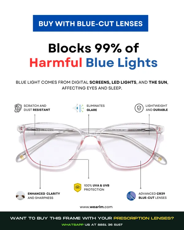 LM_Stockholm_Money_Heist_Glasses_For_Men_&_Women