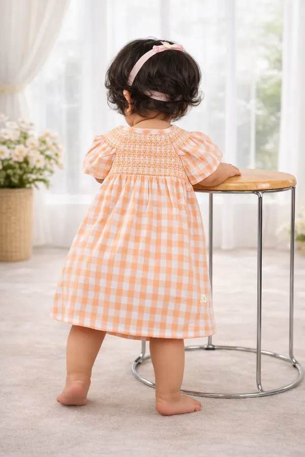Multicolor_Cotton_Fancy_Neck_Smocked_Yarn_Dyed_Dress_For_Infant