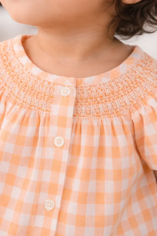 Multicolor_Cotton_Fancy_Neck_Smocked_Yarn_Dyed_Dress_For_Infant