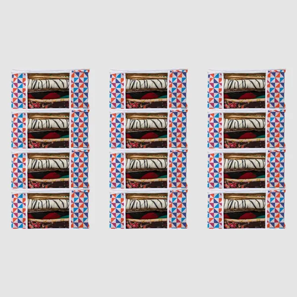 Pack_Of_12_High_Quality_Printed_Saree_Cover