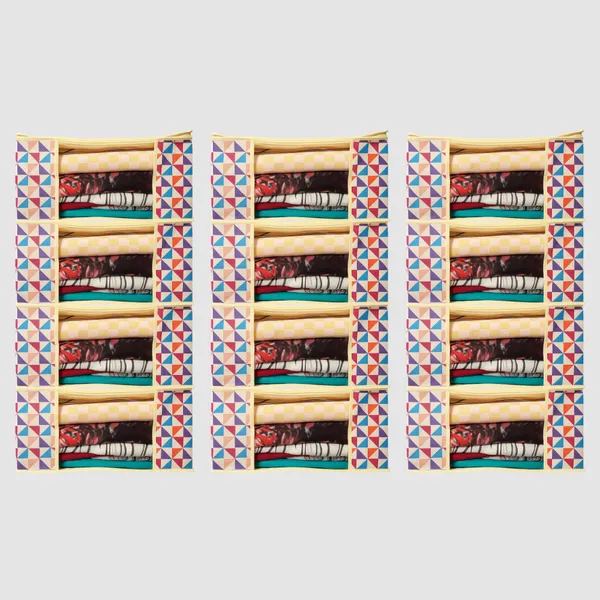Pack_Of_12_High_Quality_Printed_Saree_Cover