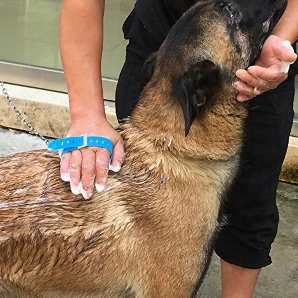 Blue_Comfortable_Pet_Bathing_Tool_Massager_Shower_Cleaning_Washing_Sprayers_Dog_Brush