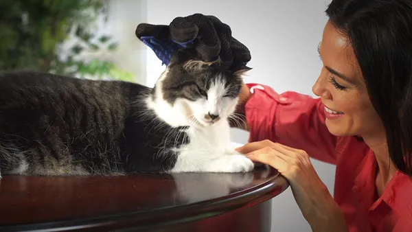 Pet_Grooming_&_Shedding_Glove_-_Right_Hand_|_Hygienic_&_Breathable_Cleaning_Brush_|_Soothing_On_Pet_Skin_|_Free_Size
