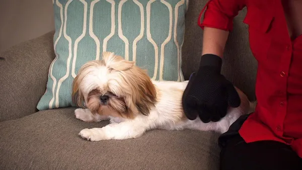 Pet_Grooming_&_Shedding_Glove_-_Right_Hand_|_Hygienic_&_Breathable_Cleaning_Brush_|_Soothing_On_Pet_Skin_|_Free_Size