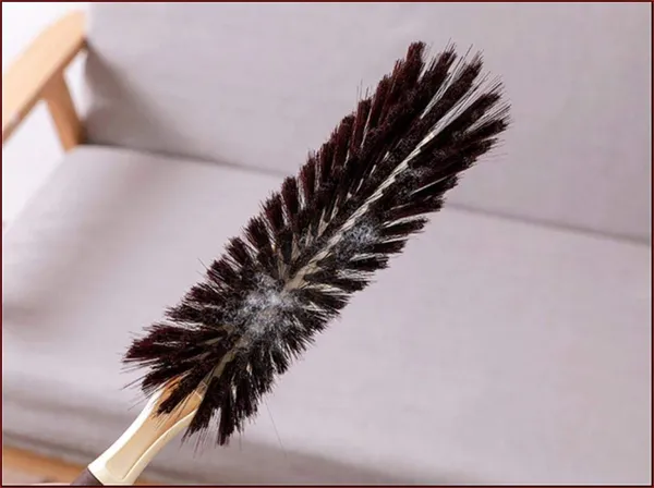 Beige_Plastic_Soft_Cleaning_Brush_For_Home_Carpet/Car_Interior,_Pack_Of_2